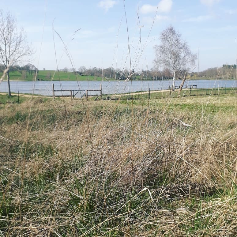 tonte différenciée espace de biodiversité